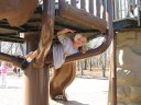 Last day of the visit, we had lunch at a nearby park.  Max is here putting the jungle-gym to good use.